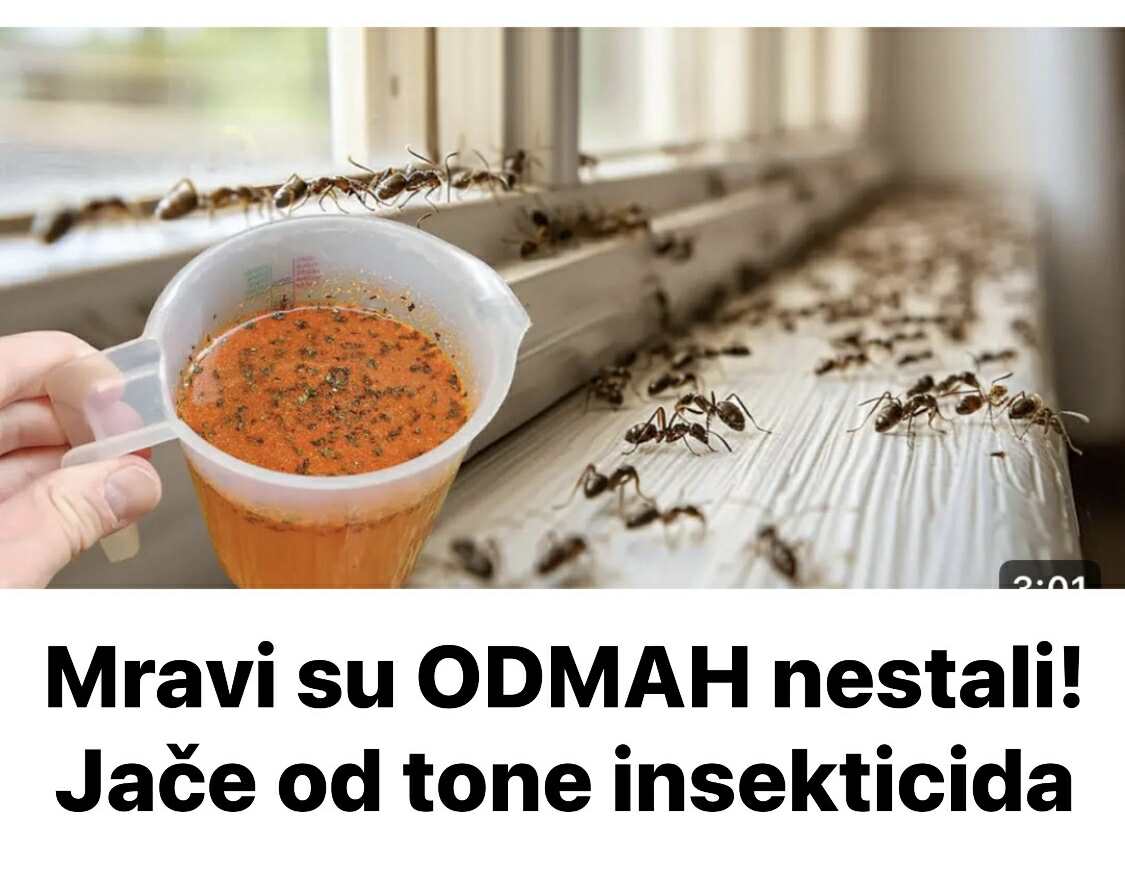 Mravi su ODMAH nestali! Jače od tone insekticida - featured image