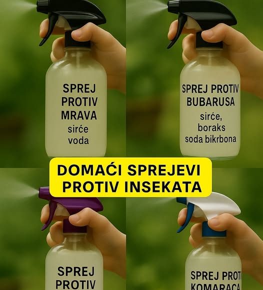 Uradi sam vodič: Domaći sprejevi protiv insekata za dom bez nametnika - featured image