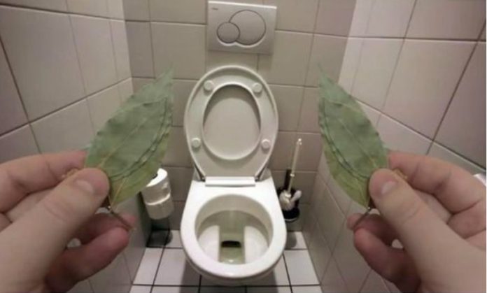 Zato sam stavio lovorov list ukupatilo: Znale su već naše bake! - featured image