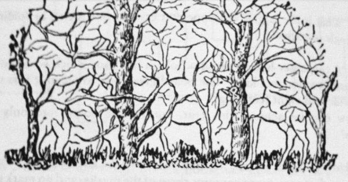 Prva životinja koju vidite na ilustraciji otkriće vam apsolutno sve o vašoj ličnosti i to bez greške - featured image