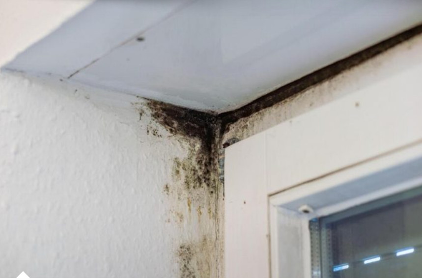 Da li znate kako obična svijeća može da riješi probleme buđi u kupatilu? K0RISTAN SAVJET K0JI M0ŽETE PRIMIJENITI - featured image