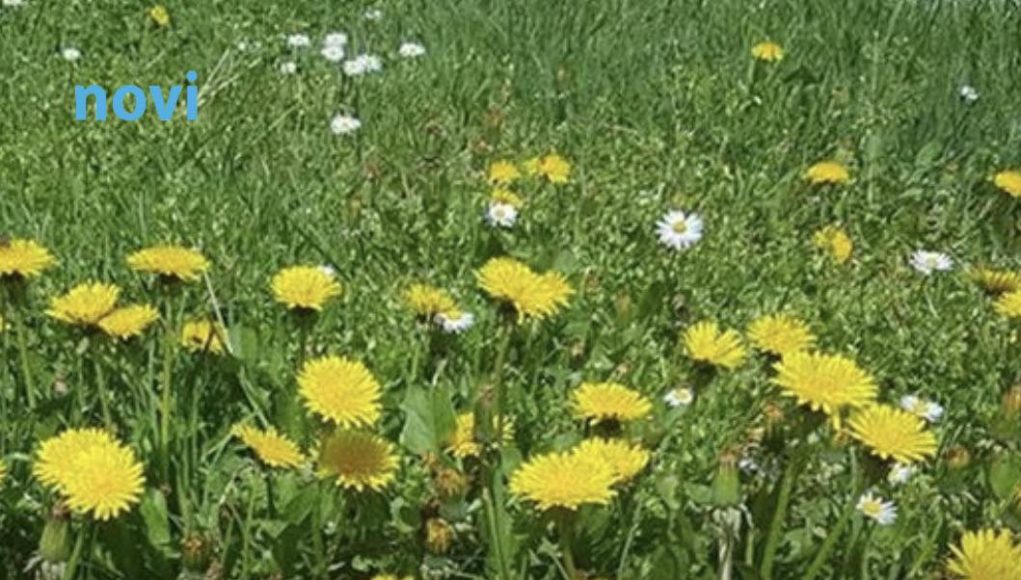 Ova 3 znaka će biti najsretnija u martu 2026: Očekuje ih preokret kojem se nisu nadali - featured image