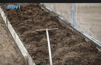 7 vrsta povrća koje gotovo nikada ne treba đubriti: Rastu uz vodu, sunce i malo brige 🌱 7 vrsta povrća koje gotovo nikada ne treba đubriti: Rastu uz vodu, sunce i malo brige 🌱 - featured image