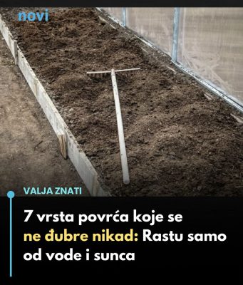 7 vrsta povrća koje gotovo nikada ne treba đubriti: Rastu uz vodu, sunce i malo brige 🌱 7 vrsta povrća koje gotovo nikada ne treba đubriti: Rastu uz vodu, sunce i malo brige 🌱 - featured image