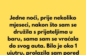 Jedne noći, prije nekoliko mjeseci, nakon što sam se družila s prijateljima u baru, sama sam se vraćala do svog auta. Jedne noći, prije nekoliko mjeseci, nakon što sam se družila s prijateljima u baru, sama sam se vraćala do svog auta. - featured image