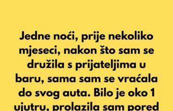 Jedne noći, prije nekoliko mjeseci, nakon što sam se družila s prijateljima u baru, sama sam se vraćala do svog auta. Jedne noći, prije nekoliko mjeseci, nakon što sam se družila s prijateljima u baru, sama sam se vraćala do svog auta. - featured image