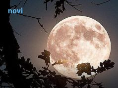 4 znaka kojima se život iz korijena mijenja 25. marta: Stiže sreća kakvu ne pamte 4 znaka kojima se život iz korijena mijenja 25. marta: Stiže sreća kakvu ne pamte - featured image