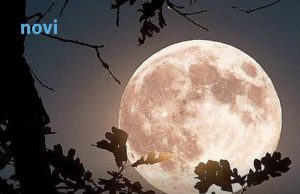 4 znaka kojima se život iz korijena mijenja 25. marta: Stiže sreća kakvu ne pamte 4 znaka kojima se život iz korijena mijenja 25. marta: Stiže sreća kakvu ne pamte - featured image