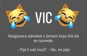 VIC DANA: Razvod VIC DANA: Razvod - featured image