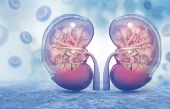 KADA SA BUBREZIMA NEŠTO NIJE U REDU, TELO ŠALJE OVESIGNALE: 6 simptoma koje ne smete ignorisati! KADA SA BUBREZIMA NEŠTO NIJE U REDU, TELO ŠALJE OVESIGNALE: 6 simptoma koje ne smete ignorisati! - featured image