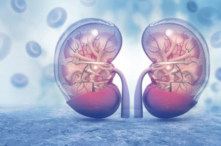 KADA SA BUBREZIMA NEŠTO NIJE U REDU, TELO ŠALJE OVESIGNALE: 6 simptoma koje ne smete ignorisati! - featured image