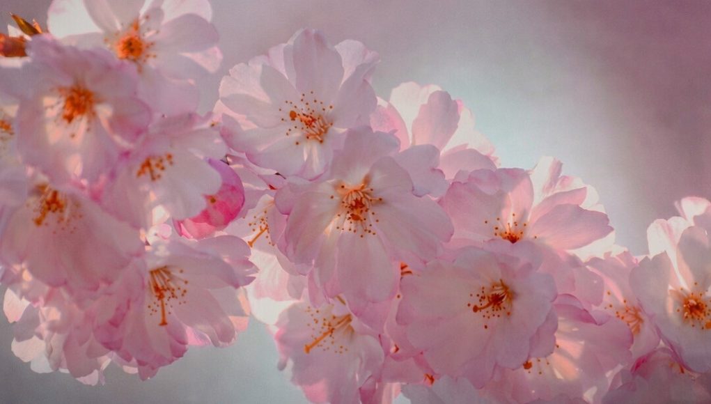 Od 1. aprila kreće najljepše vrijeme za ova 3 horoskopska znaka - featured image