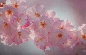 Od 1. aprila kreće najljepše vrijeme za ova 3 horoskopska znaka Od 1. aprila kreće najljepše vrijeme za ova 3 horoskopska znaka - featured image