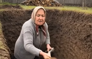 Svi u selu su mislili da je starica izgubila razum kad je počela da kopa nasred dvorišta, ali ono što je iskopala zaledilo je svima krv u žilama