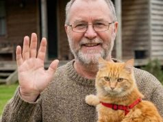 Moj komšija je nestao nakon što mi je povjerio svog mačka – a istina koju sam otkrila promijenila je moj život iz temelja