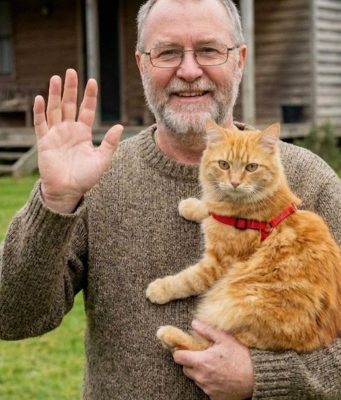 Moj komšija je nestao nakon što mi je povjerio svog mačka – a istina koju sam otkrila promijenila je moj život iz temelja