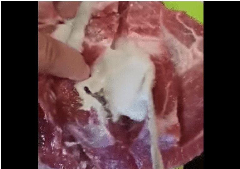 VIDEO Puljanin kupio meso iz kojeg je iscurilo nešto odvratno, pogledajte snimku - featured image