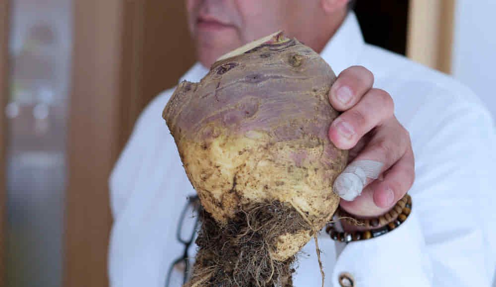 UNIŠTAVA BAKTERIJE, OPORAVLJA PLUĆA: Korijen ove biljke liječi sve probleme disajnih puteva - featured image