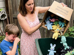 Moj unuk je ispleo 100 zečeva za bolesnu decu — nova snaja ih je bacila u smeće