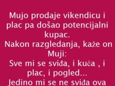 Vic dana: prodaja vikendice