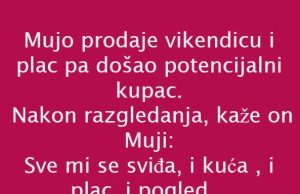 Vic dana: prodaja vikendice