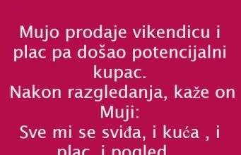 Vic dana: prodaja vikendice