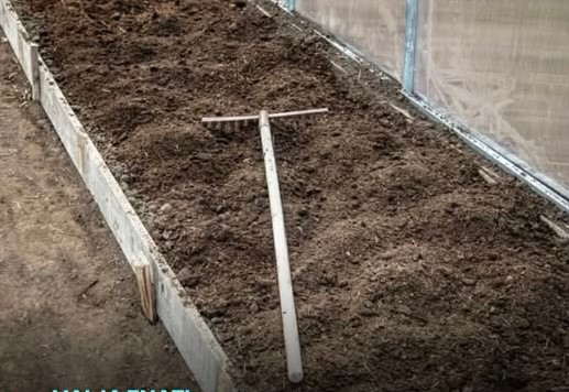 7 vrsta povrća koje se ne đubre nikad: Rastu samo od vode i sunca - featured image
