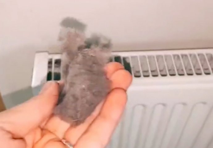EVO KAKO DA OČISTITE RADIJATORE ZA MINUTU: Bolju foru niste vidjeli, kako se niko ranije nije sjetio ovoga?! (VIDEO) - featured image