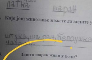 Na pitanje “zašto šaran živi u vodi” đak prvak dao URNEBESAN ODGOVOR: Kad malo bolje razmislite, zapravo je GENIJALAN Na pitanje “zašto šaran živi u vodi” đak prvak dao URNEBESAN ODGOVOR: Kad malo bolje razmislite, zapravo je GENIJALAN - featured image