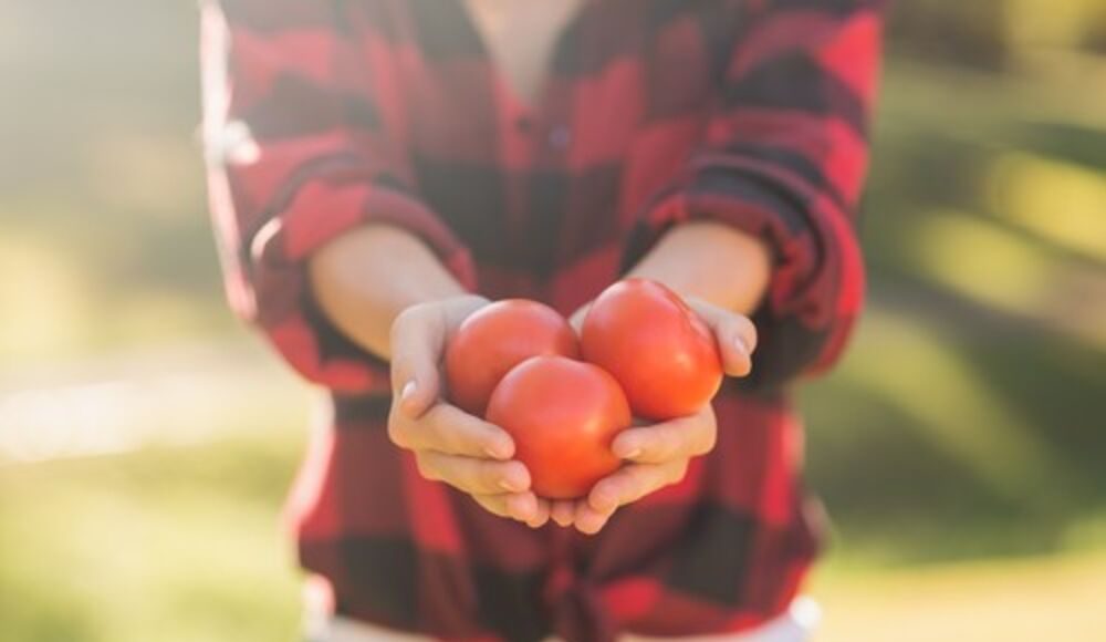 KO NE SME NIKAKO DA JEDE PARADAJZ? Ako se lečite od ovih bolesti, BACITE GA ODMAH, nije vredan narušavanja vašeg ZDRAVLJA - featured image