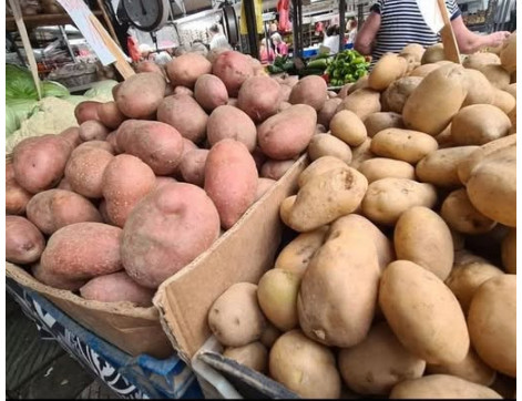 STRUČNJACI OTKRILI DA LI JE BOLJI CRVENI ILI BIJELI KROMPIR: Razlika je velika, a OVAJ je zdraviji - featured image