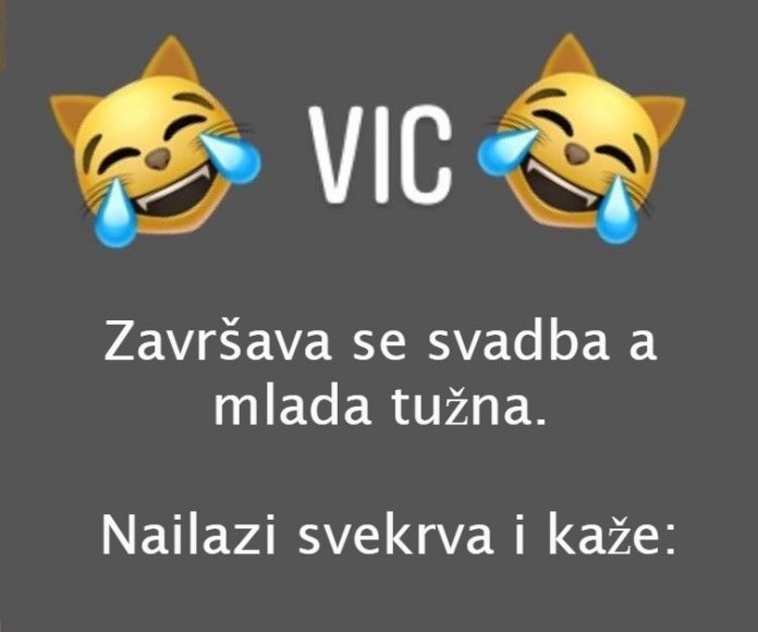 VIC DANA: Svekrva i snaja - featured image VIC DANA: Svekrva i snaja - featured image