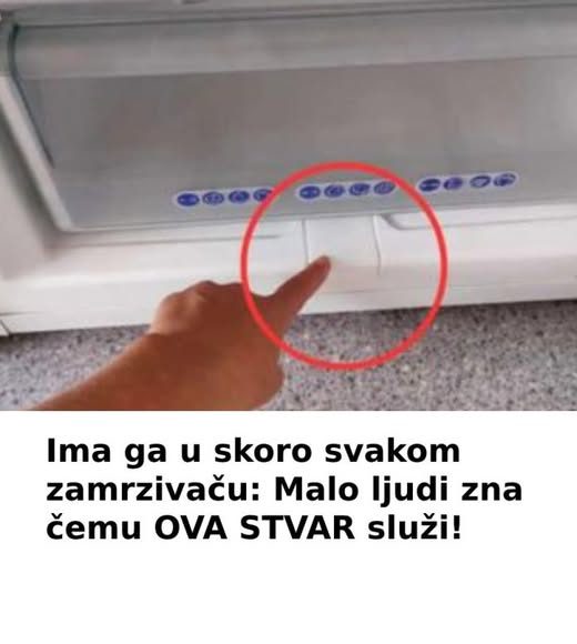 Ima ga u skoro svakom zamrzivaču: Malo ljudi zna čemu OVA STVAR služi! - featured image
