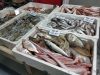 Ovo je najzdravija riba: Bolja od LOSOSA, A MNOGO JEFTINIJA – Evo koliko često je treba jesti Ovo je najzdravija riba: Bolja od LOSOSA, A MNOGO JEFTINIJA – Evo koliko često je treba jesti - featured image
