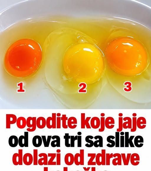 Pogodite koje jaje od ova tri sa slike dolazi od zdrave kokoške - featured image