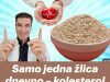 Samo jedna žlica dnevno – kolesterol nestaje kao rukom odnesen! Samo jedna žlica dnevno – kolesterol nestaje kao rukom odnesen! - featured image