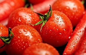 Odmah izbacite paradajz iz ishrane ako imate neku od ovih bolesti, možete pogoršati stanje Odmah izbacite paradajz iz ishrane ako imate neku od ovih bolesti, možete pogoršati stanje - featured image