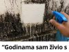 “Godinama sam živio s plijesni na zidovima… a onda sam otkrio trik koji je uklanja bez ribanja!” “Godinama sam živio s plijesni na zidovima… a onda sam otkrio trik koji je uklanja bez ribanja!” - featured image