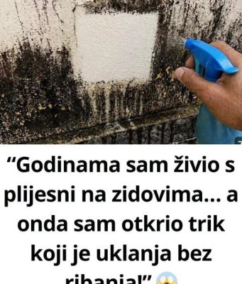 “Godinama sam živio s plijesni na zidovima… a onda sam otkrio trik koji je uklanja bez ribanja!” “Godinama sam živio s plijesni na zidovima… a onda sam otkrio trik koji je uklanja bez ribanja!” - featured image