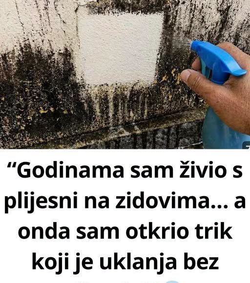 “Godinama sam živio s plijesni na zidovima… a onda sam otkrio trik koji je uklanja bez ribanja!” - featured image