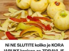 KORA JABUKE SE NE BACA: Ni ne slutite koliko je korisna, evo kako sve možete da je upotrijebite KORA JABUKE SE NE BACA: Ni ne slutite koliko je korisna, evo kako sve možete da je upotrijebite - featured image