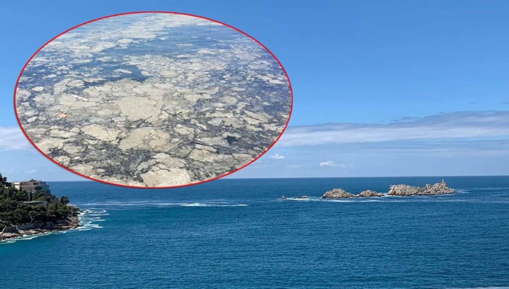 Zabrinjavajuće promjene u Jadranskom moru: Satelitske slike izazvale reakcije naučnika - featured image