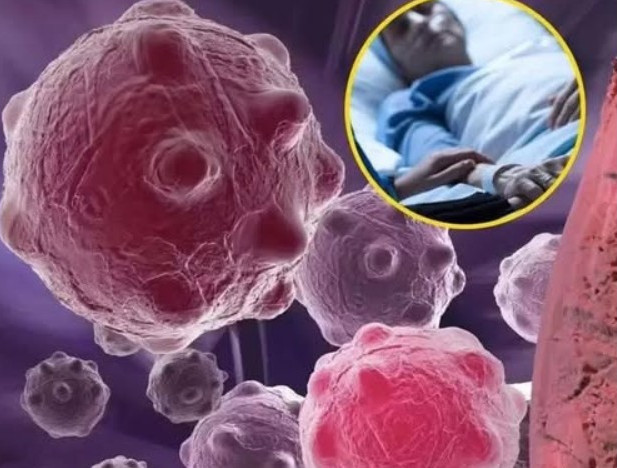 8 namirnica koje smanjuju upale i jačaju imunitet — savršen početak dana - featured image