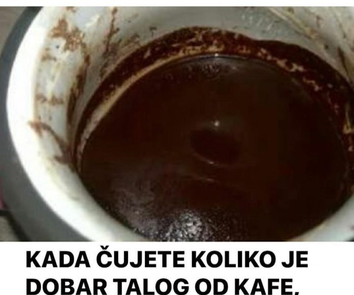 Ne bacajte talog od kafe, može biti izuzetno koristan - featured image Ne bacajte talog od kafe, može biti izuzetno koristan - featured image
