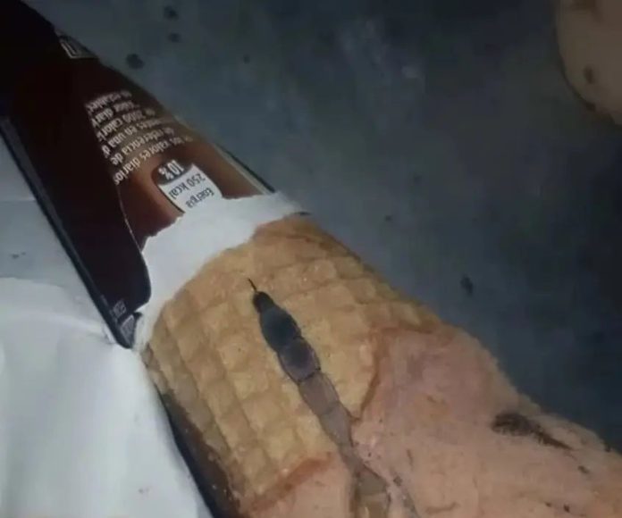Moja ćerka je otvorila sladoled i unutra je našla nešto čudno — nismo odmah shvatili šta je to bilo. - featured image