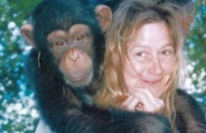 Sandra je godinama gajila šimpanzu i spavala sa njom, ne sluteći šta će je snaći: Taj užas potresao je ceo svet Sandra je godinama gajila šimpanzu i spavala sa njom, ne sluteći šta će je snaći: Taj užas potresao je ceo svet - featured image