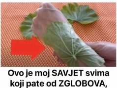 Ovo je moj SAVJET svima koji pate od ZGLOBOVA, akni i bolova u ušima: Morate probati šta ovi zeleni listovi mogu učiniti! Ovo je moj SAVJET svima koji pate od ZGLOBOVA, akni i bolova u ušima: Morate probati šta ovi zeleni listovi mogu učiniti! - featured image