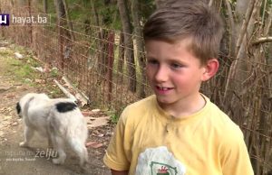 AJDINA JE 0STAVILA MAJKA KAD JE IMAO 5 Godina, Cijeli Balkan Je Plakao: A P0GLEDAJTE GA DANAS AJDINA JE 0STAVILA MAJKA KAD JE IMAO 5 Godina, Cijeli Balkan Je Plakao: A P0GLEDAJTE GA DANAS - featured image