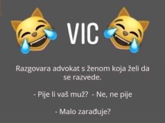 VIC DANA: Razvod VIC DANA: Razvod - featured image