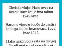VIC OD KOJEG ĆETE PLAKATI OD SMIJEHA: Gledaju Mujo i Haso ovce… VIC OD KOJEG ĆETE PLAKATI OD SMIJEHA: Gledaju Mujo i Haso ovce… - featured image